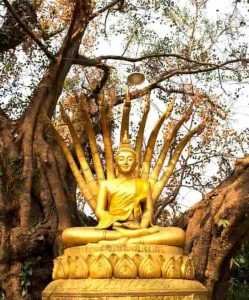 que hacer en luang prabang