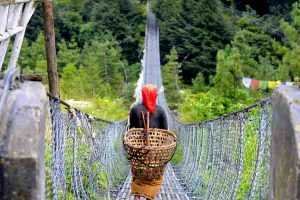 como moverse en pokhara