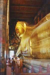 que ver y hacer en bangkok