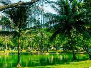 que ver y hacer en bangkok