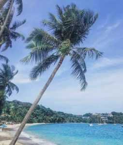 que hacer en Phuket