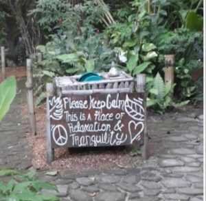 que hacer en koh phangan