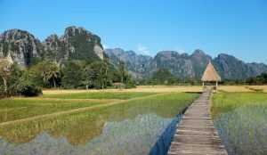 como llegar a vang vieng