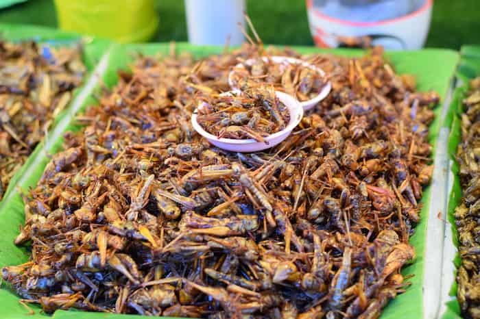 comida tipica tailandia