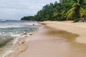 Punta uva y arrecife