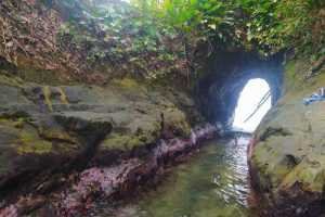 cueva de punta uva