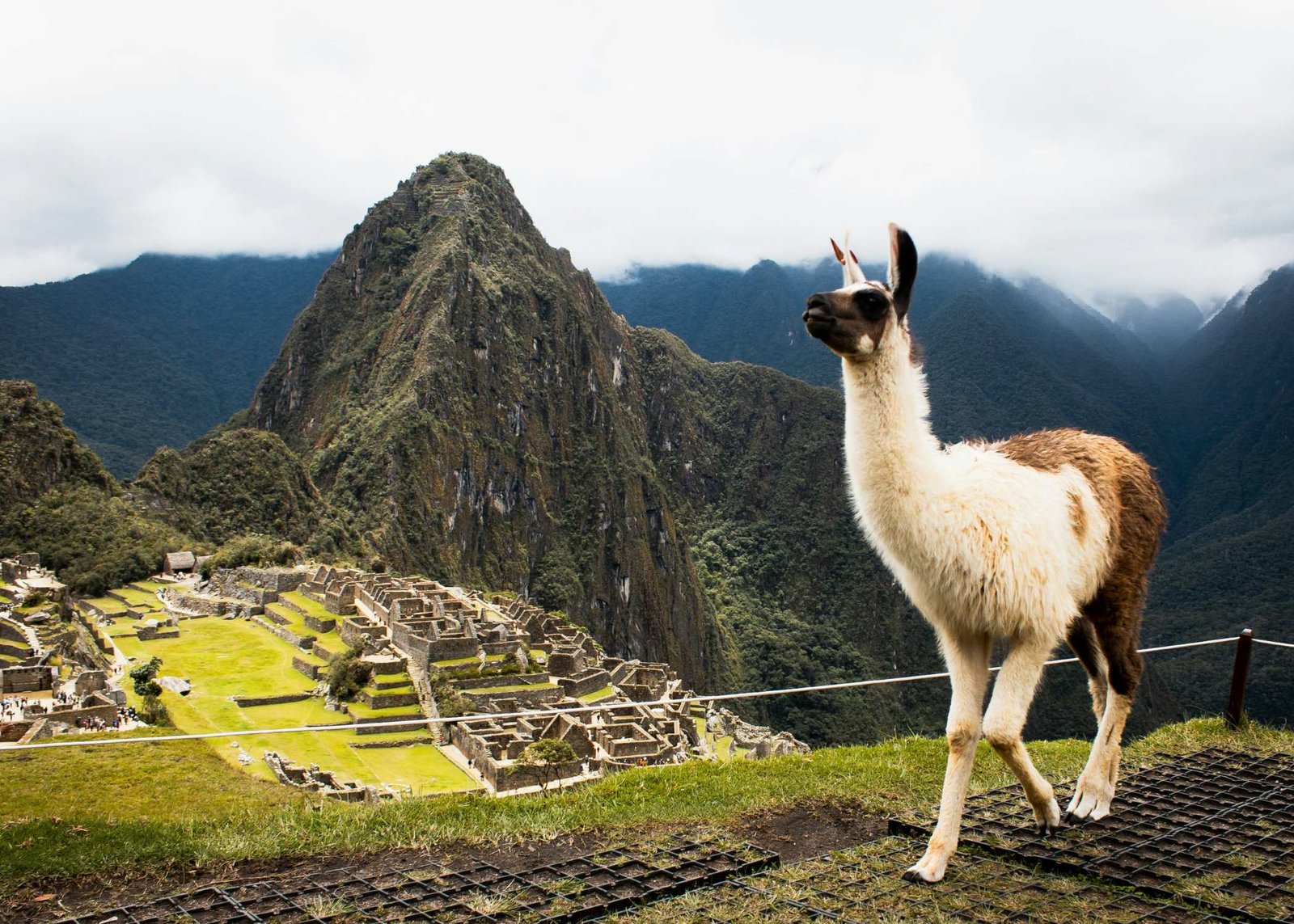 Viaje en grupo Experiencia Perú