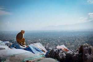 donde dormir en katmandu