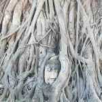 como llegar a ayutthaya