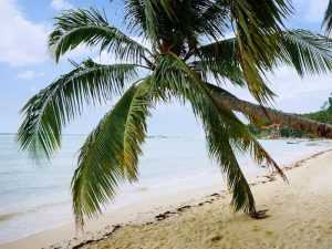 mejores playas de koh phangan