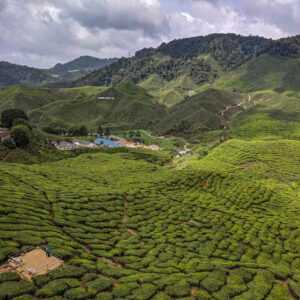 donde dormir en cameron highlands