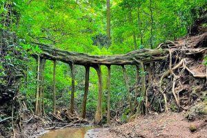 viaje a costa rica